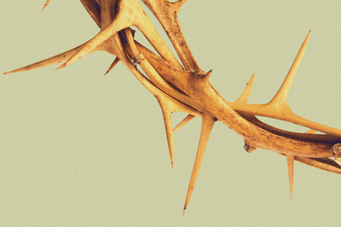 Bach's St John Passion